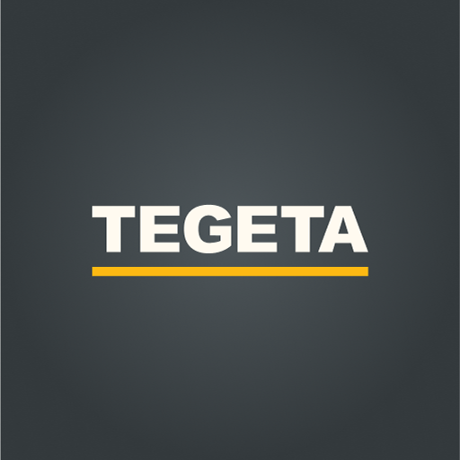 Tegeta Motors